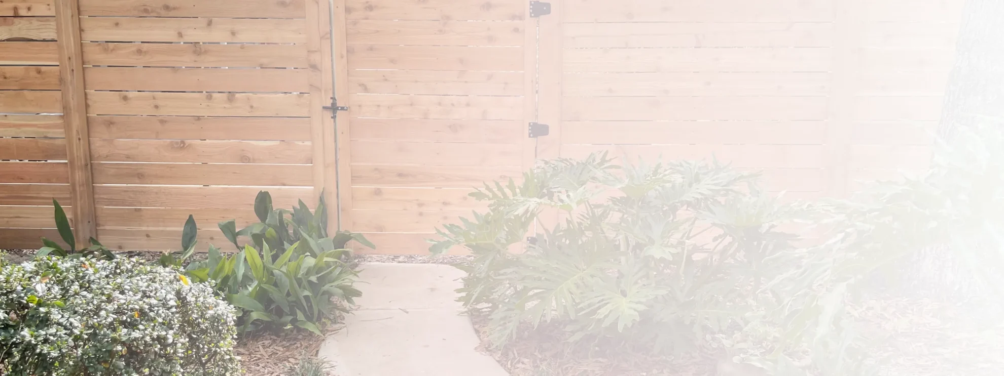 What We Do Background Frame